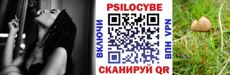 Галлюциногенные грибы прущие грибы  купить наркоту  Дегтярск 